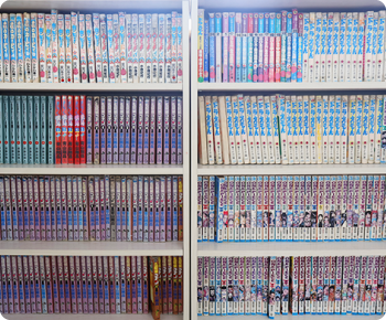 1日の流れの写真